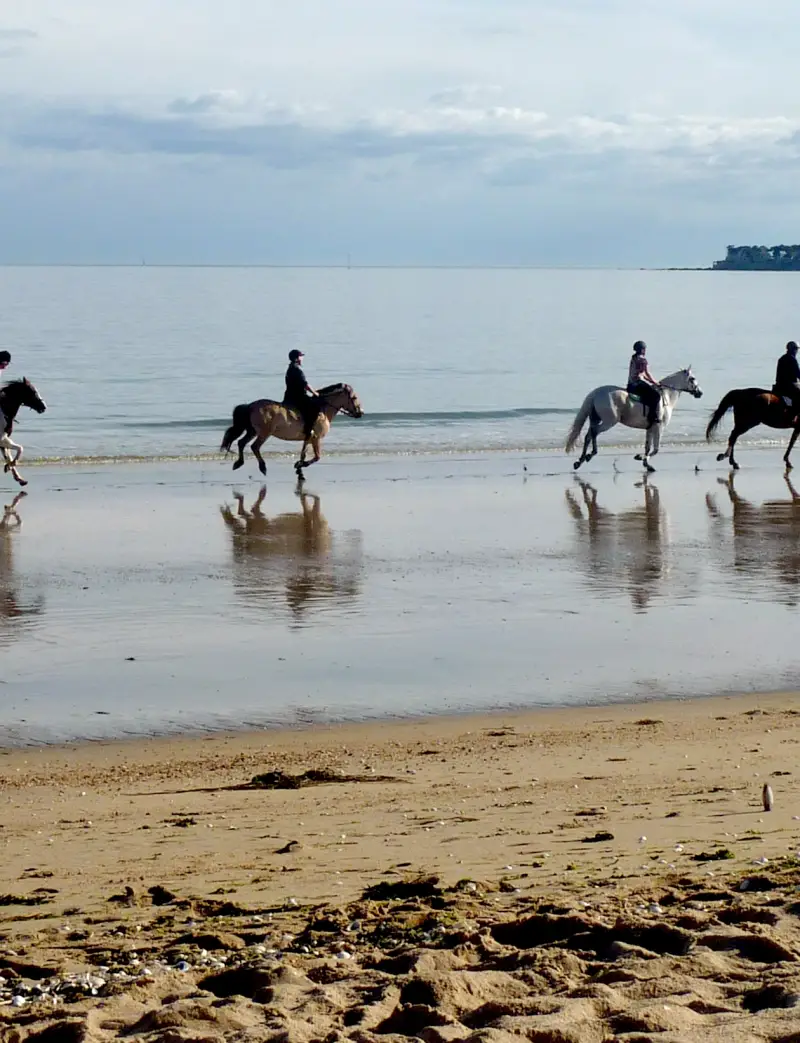 Balade à cheval sur la plage de La Baule à marée basse